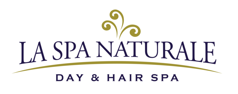 PB-Day-Hair-Spa-Logo