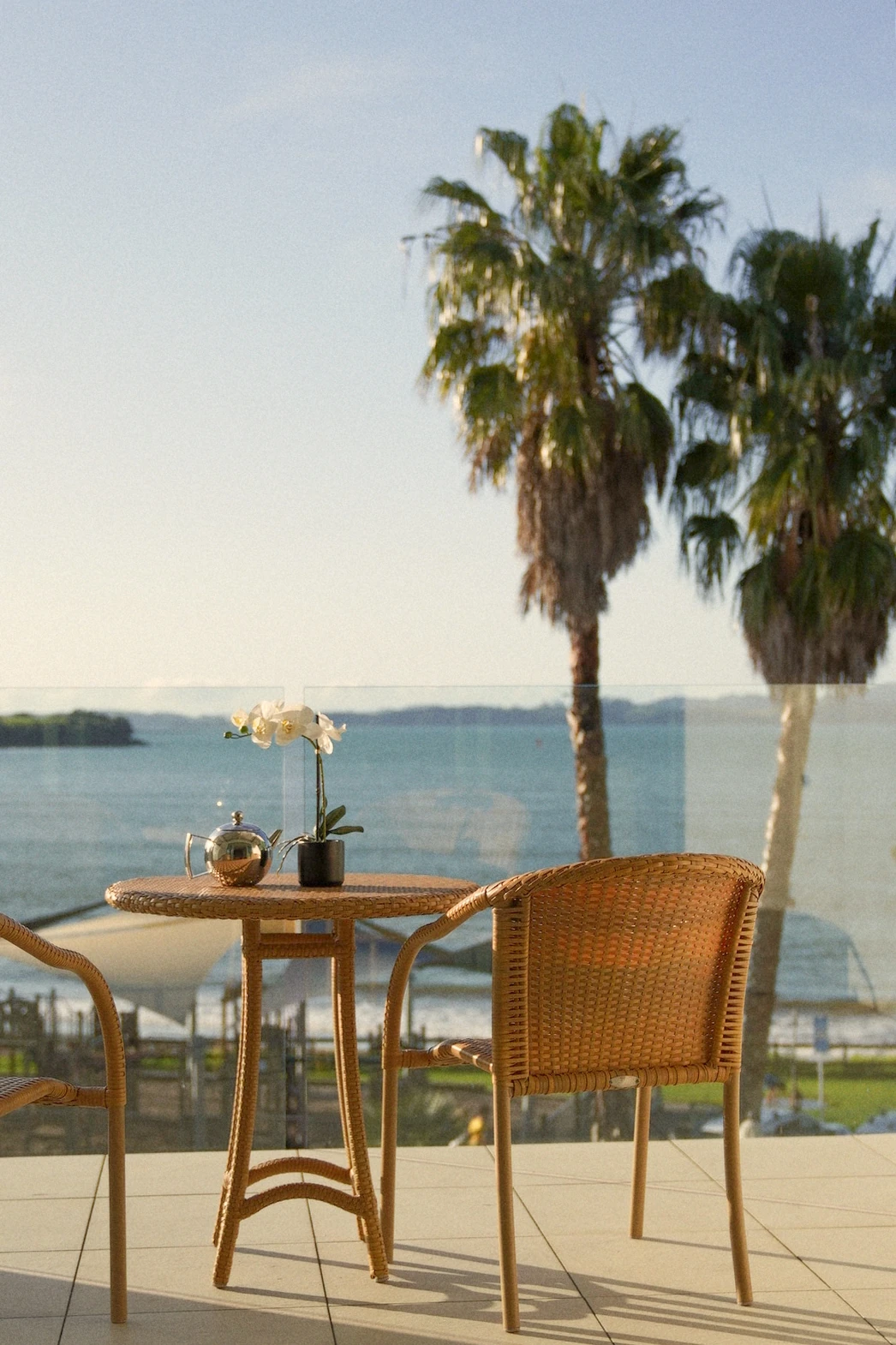 A table with an orchid in front of the sea, with a teapot and teacup on it. The background is a glass balcony with chairs facing the water, and there's a palm tree next to them. This photo was taken using Kodak Gold film